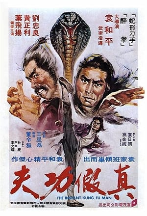 Poster 真假功夫 1977