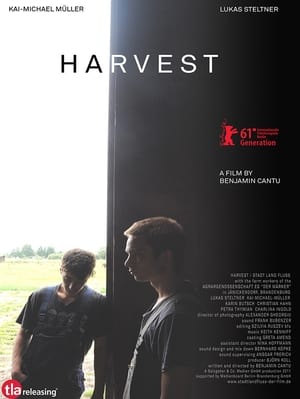 watch-Harvest