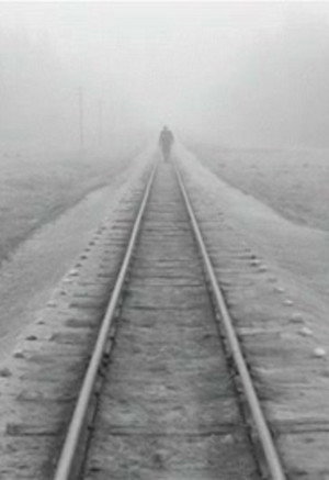 Kelionė ūkų lankomis