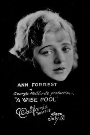 Poster A Wise Fool (1921)