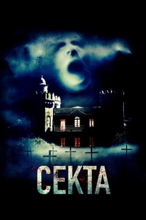 Poster Секта 2019