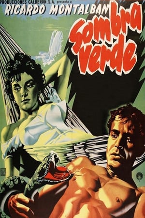 Poster Sombra Verde 1954