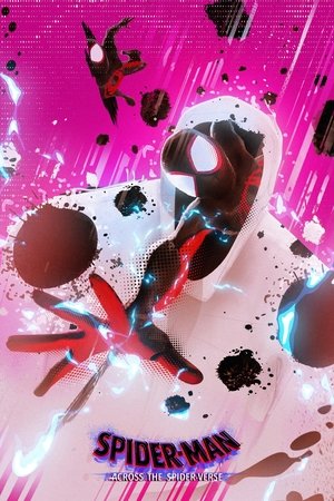 poster Spider-Man: Across the Spider-Verse
