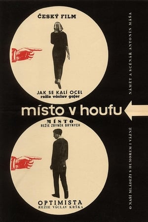 Poster Místo v houfu 1964
