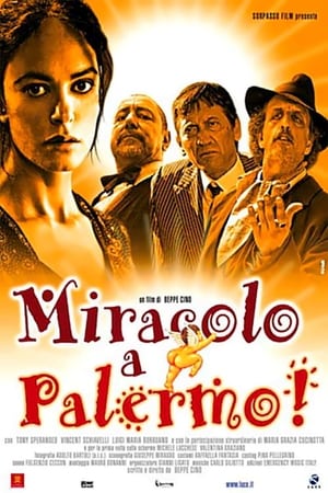 Poster di Miracolo a Palermo!
