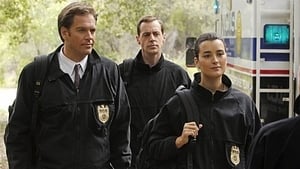 Agenci NCIS: s8 e23 PL