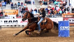 Firsthand Cowboy Up