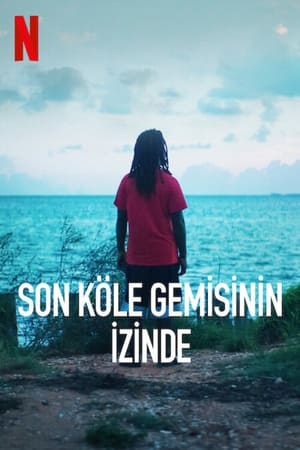 Poster Son Köle Gemisinin İzinde 2022