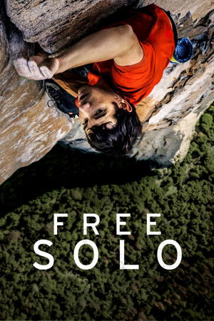 poster Free Solo