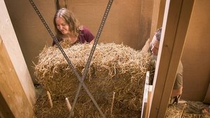 Image Straw Bale House in Kassjö