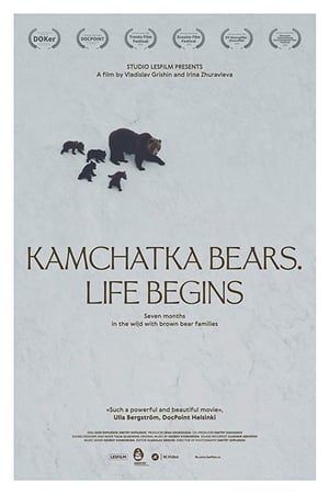 Kamchatka Bears. Life Begins