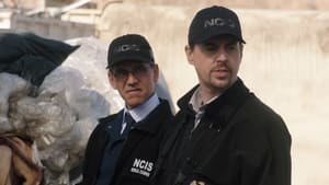 Agenci NCIS: S19E12