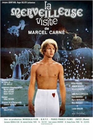 Poster The Marvelous Visit (1974)