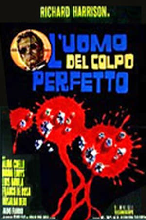 L'uomo del colpo perfetto film complet