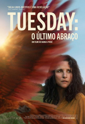 Tuesday 24