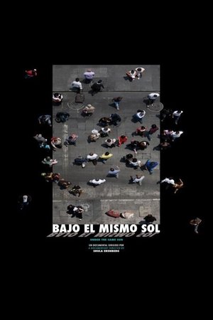 Poster Bajo el mismo sol (2009)