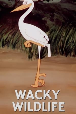 Wacky Wildlife> (1940>)