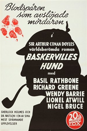 Image Baskervilles hund