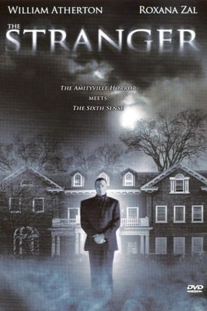 Poster The Stranger (1999)