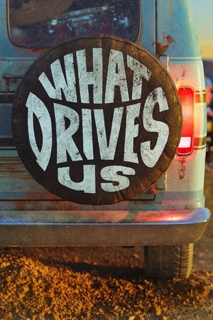 What Drives Us