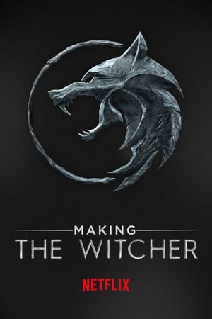 Poster Making The Witcher 2020