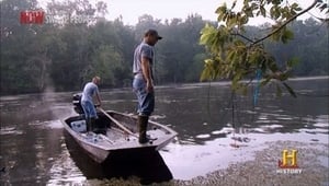 Swamp People Season 3 Episode 17