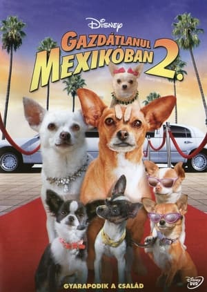 Poster Gazdátlanul Mexikóban 2. 2011