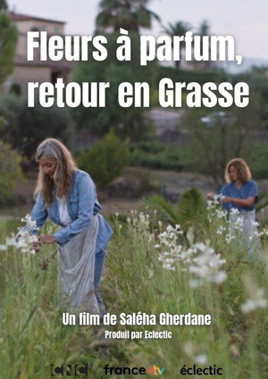 Fleurs à parfum, retour en Grasse (2026)