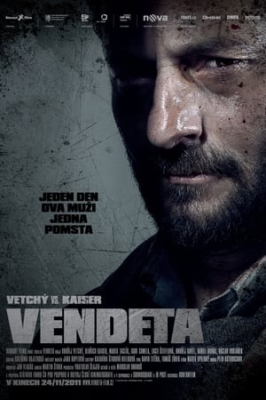 Poster Vendeta (2011)