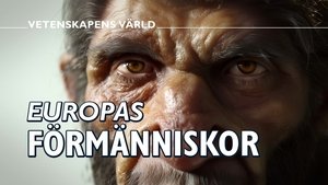 Épisode 14