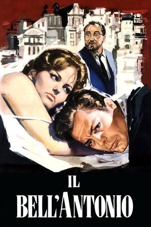 Il bell'Antonio 31