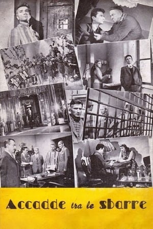 Poster It Happened Between Bars (1955)