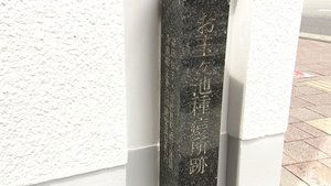 Japanology Plus: 8×12