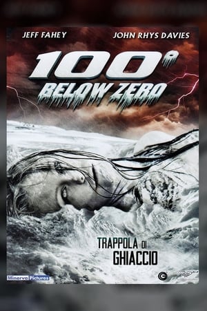 Poster 100 gradi sotto zero 2013