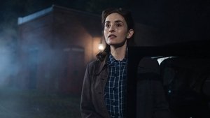 Slightly Foxed (2) | StreamHub