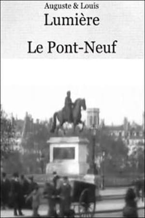 Paris, le Pont-Neuf poster
