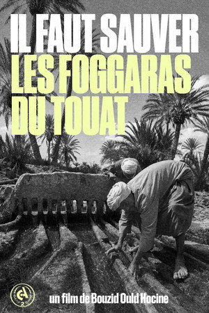We Must Save the Foggaras of Touat