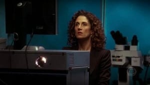 CSI: NY: Sezona 1 Epizoda 17