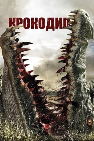 Poster Крокодил 2007