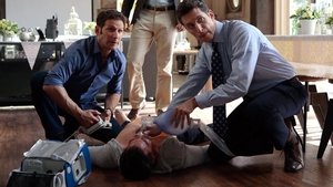 Royal Pains: 8×5