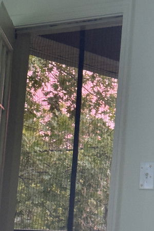 Elias Burbanks's photo