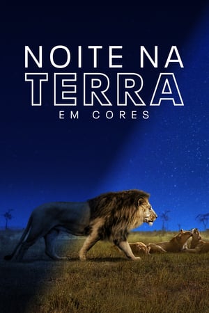 Image Planeta noturno e a cores