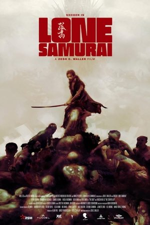 Image Lone Samurai