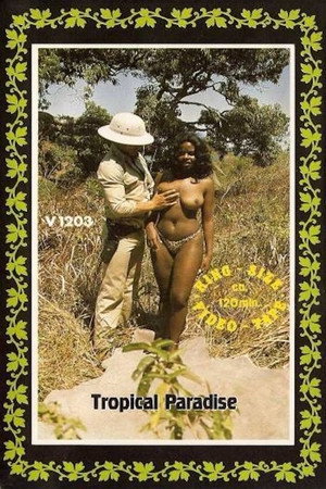 Tropical Paradise