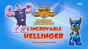 Paw Patrol Helfer auf vier Pfoten: 6×28