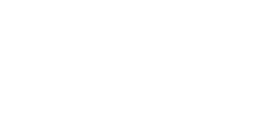 Dear Galileo — Logos 3