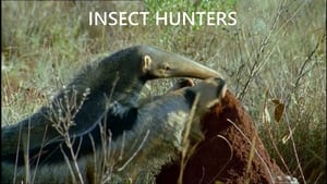 The Life of Mammals Insect Hunters