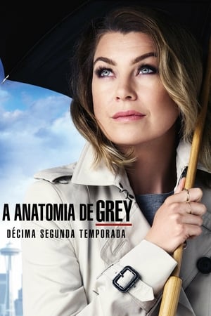 Anatomia de Grey: Temporada 12