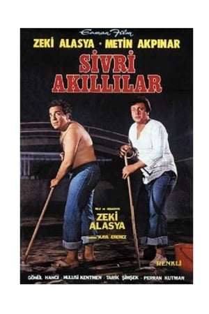 Sivri Akıllılar poster