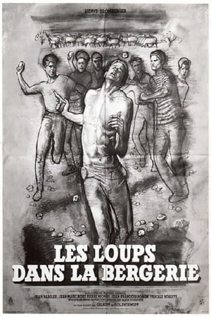 Poster Les loups dans la bergerie 1960